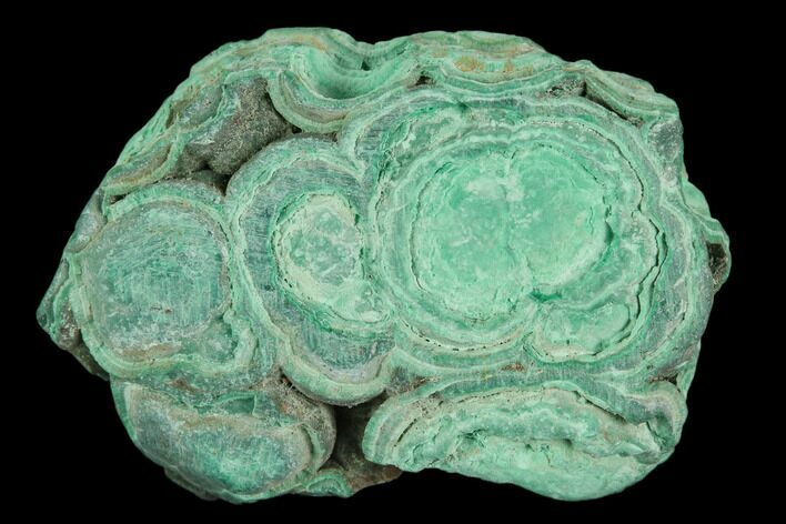 Botryoidal Malachite Formation - Mexico #126961